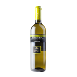 Vino Verdicchio dei Castelli di Jesi - Terra dei Conti Cl. Superiore DOC 0,75Lt.